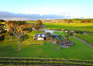 【現地調達】Velvet Glove 2017 Molly Dooker 現地調達】Velvet Glove 2017 Molly Dooker 現地調達】Velvet Glove